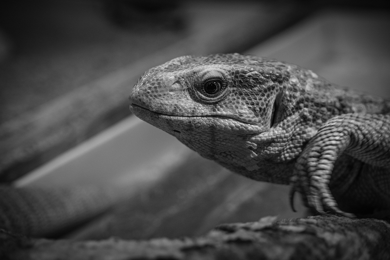 30代未経験者が利用すべき転職エージェントは？